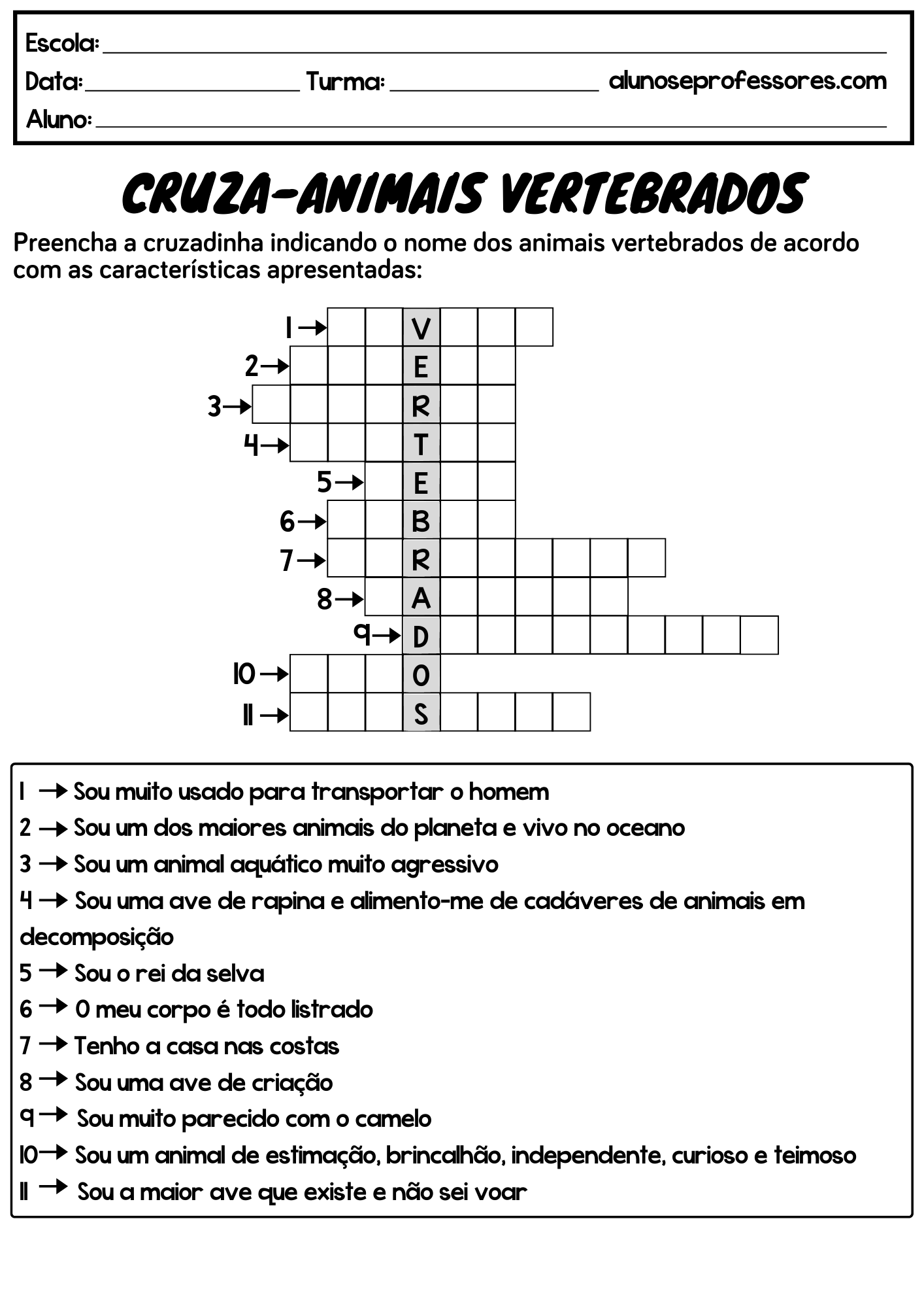 Atividades sobre Animais Vertebrados e Invertebrados | Alunos e Professores