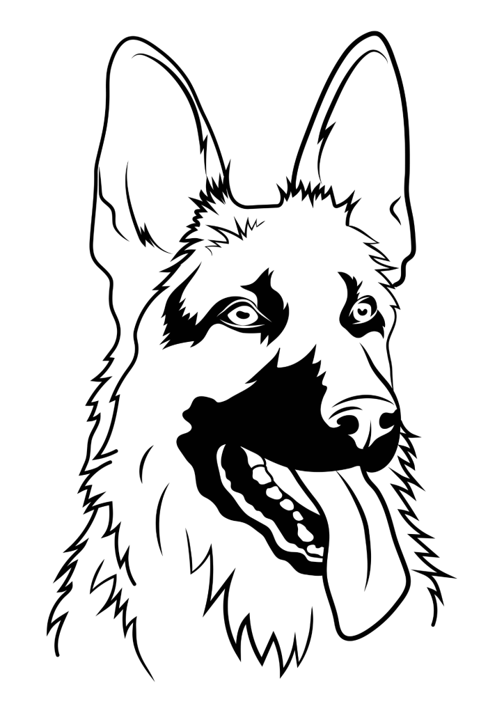 cachorro para colorir pastor alemão realista